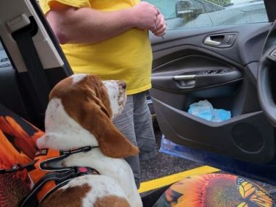 Protest Erupts in Parked Car: Witness Claims “It was&nbsp;Chaos”